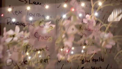 Tommy Flowers Foundation bursary awardee, Fyto Hydroponics