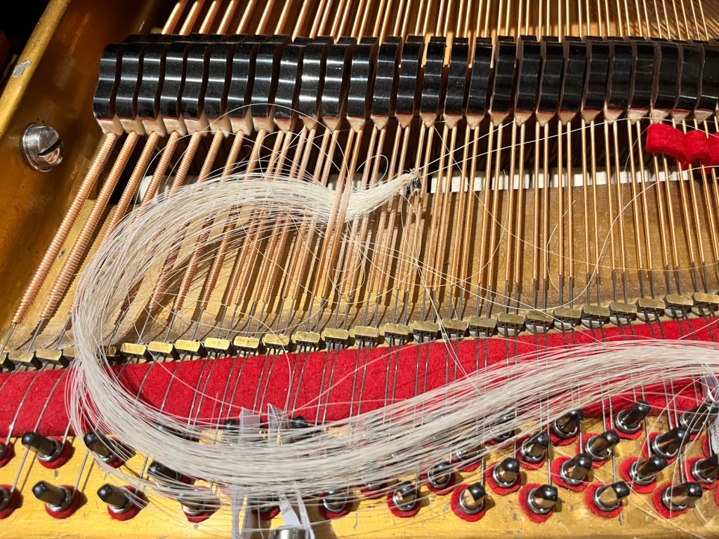  alt="Tommy Flowers Foundation bursary awardee, Jack M. Campbell"