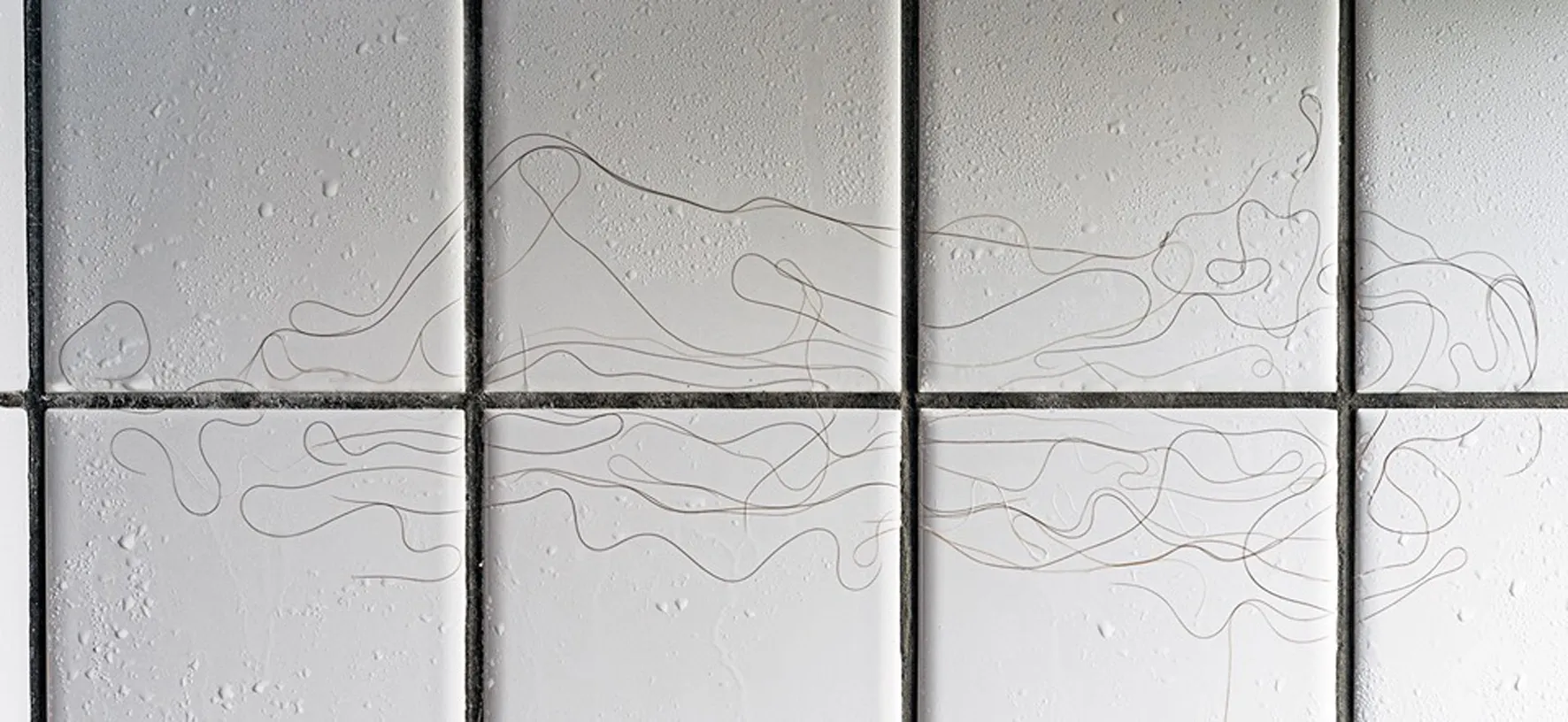 Siger Gallery and Friends