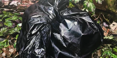 Things in a different light, Christopher Campbell