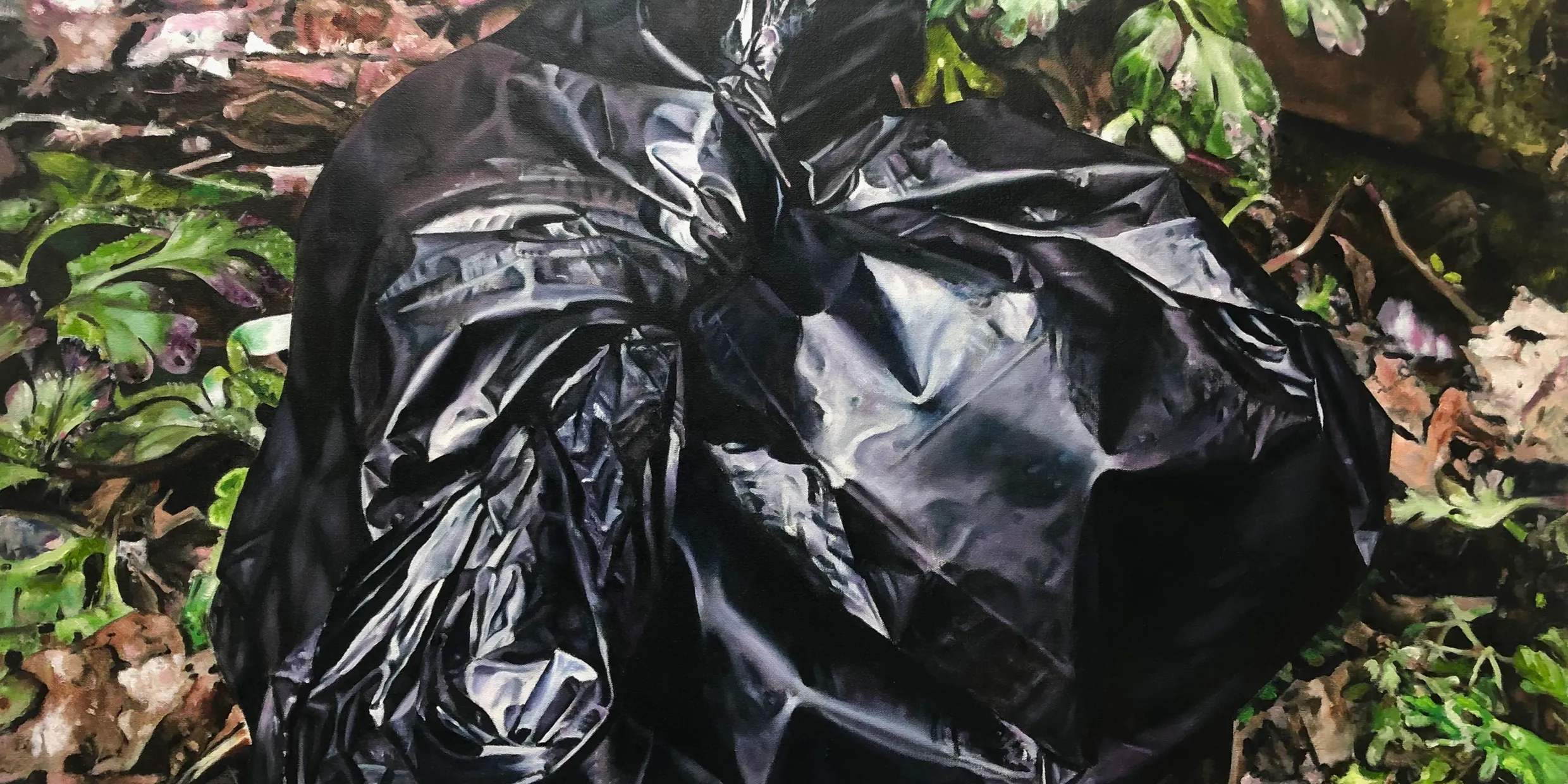 Things in a different light, Christopher Campbell